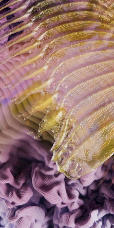 An artist’s illustration of artificial intelligence (AI). This image represents ethics research understanding human involvement in data labelling. It was created by Ariel Lu as part of the...